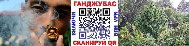 Каннабис план  Серафимович 